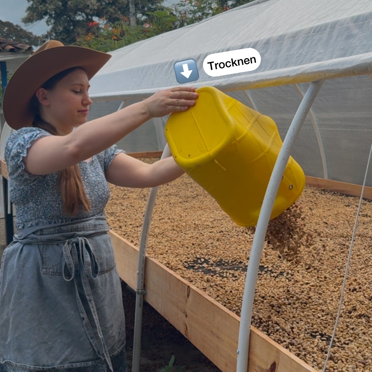 Handgepflückter Kaffee aus Kolumbien