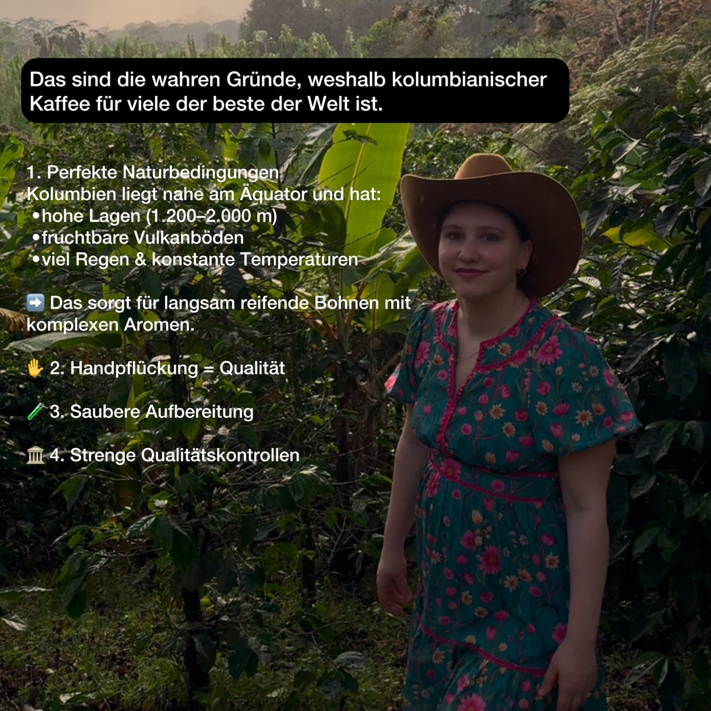 Handgepflückter Kaffee aus Kolumbien