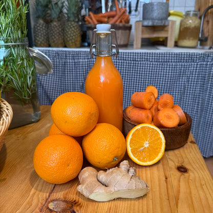 Fermentiertes Premium-Ingwerbier aus Direktsaft (2 Liter Handarbeit)