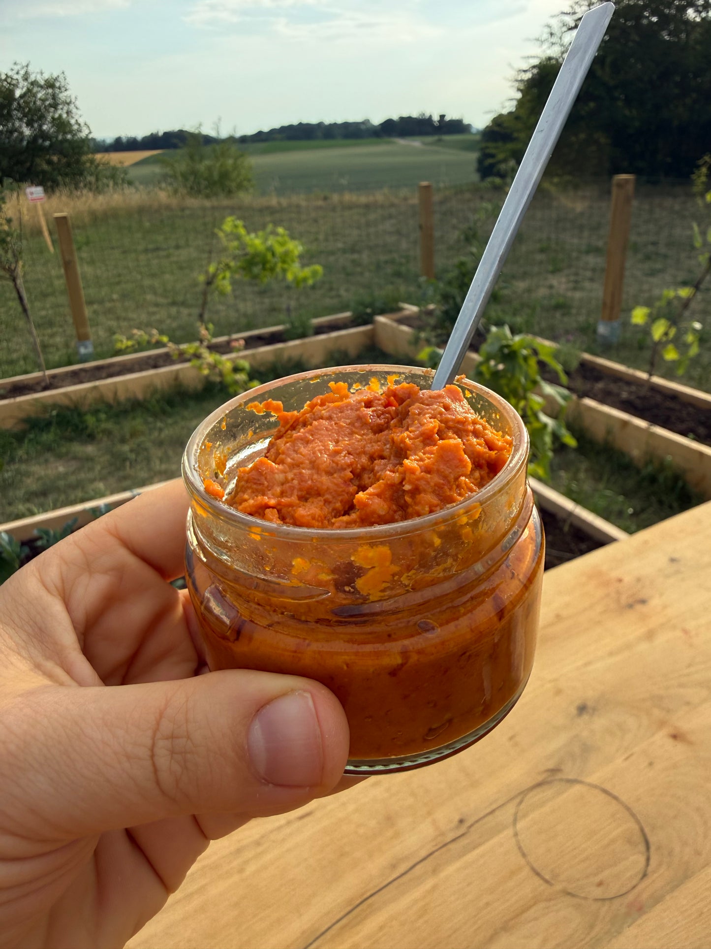 Feinkost-Box – Jeden Tag frisch